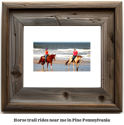 horse trail rides near me in Pine, Pennsylvania